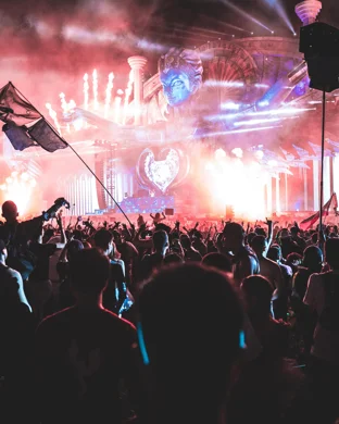 Day Trip Festival Seattle