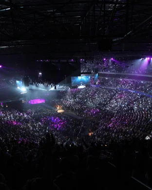 The Lowdown Drifters