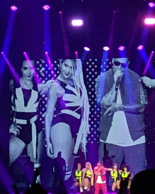 10 Ft. Ganja Plant Seattle