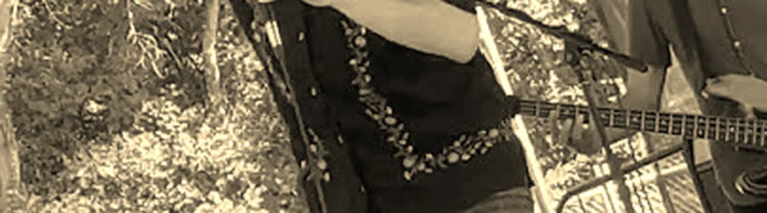 ALO - Animal Liberation Orchestra