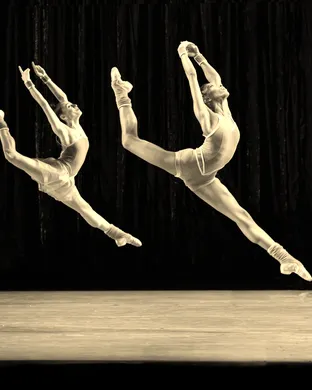 Alvin Ailey American Dance Theater theatre performance