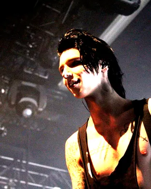 Black Veil Brides, From Ashes to New & As December Falls