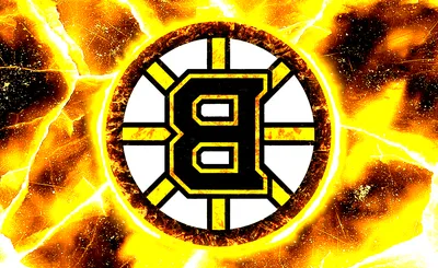 Boston Bruins