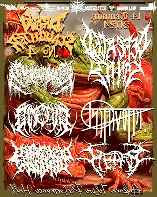 Live concert by Defeated Sanity