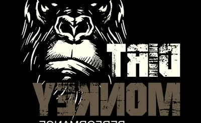 Dirt Monkey