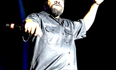 Ice Cube