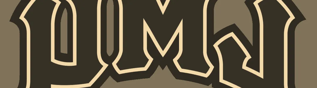 Loyola Marymount Lions