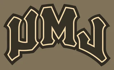 Loyola Marymount Lions