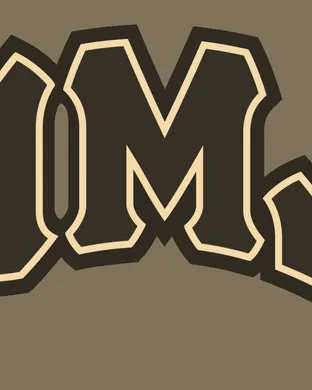 Loyola Marymount Lions