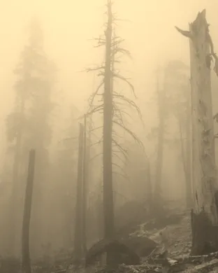Mount Eerie