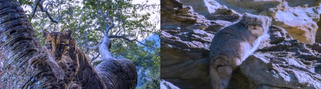 National Geographic Live: Adventure for Change