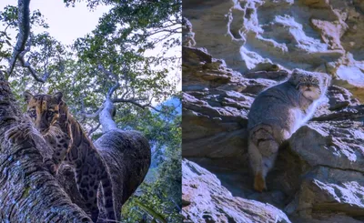 National Geographic Live: Adventure for Change