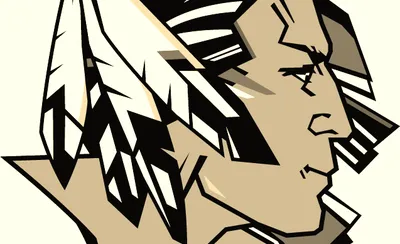 North Dakota Fighting Hawks Softball