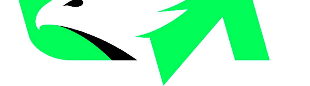 North Dakota Fighting Hawks