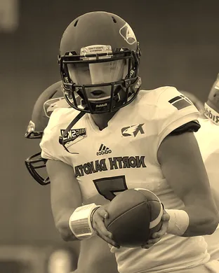 North Dakota Fighting Hawks