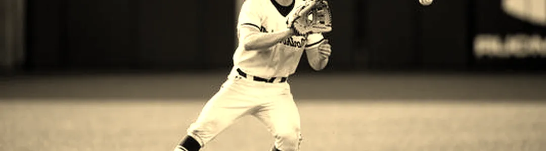 Northwestern Wildcats Baseball