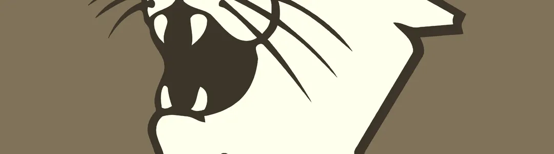 Northwestern Wildcats