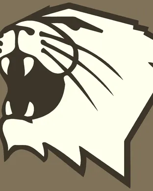 Northwestern Wildcats