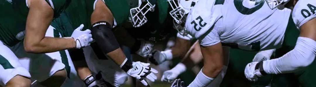 Sacramento State Hornets