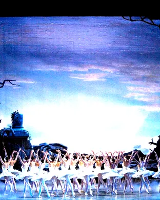Swan Lake