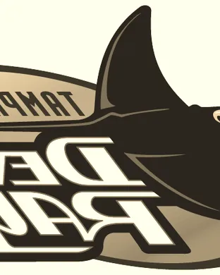 Tampa Bay Rays vs. Seattle Mariners