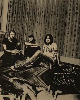 The Cribs