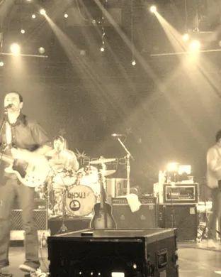 The Shins