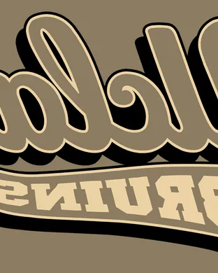 Washington Huskies Basketball