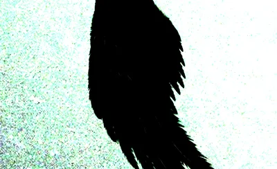 Valiant