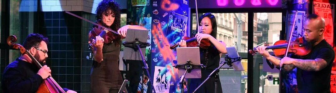 Vitamin String Quartet