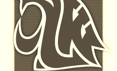 Washington State Cougars