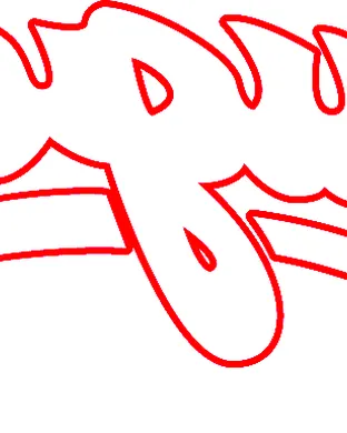 Washington State Cougars