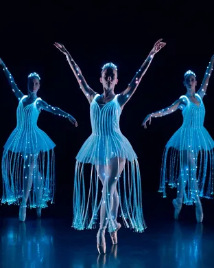 We Call It Ballet: Sleeping Beauty Dance and Light Show Renton