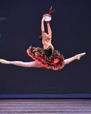 World Ballet Company: Swan Lake