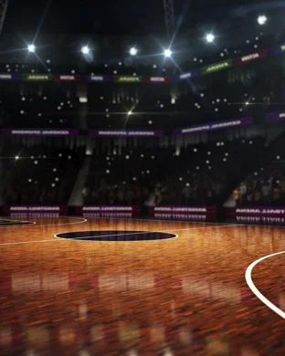 Rutgers Scarlet Knights