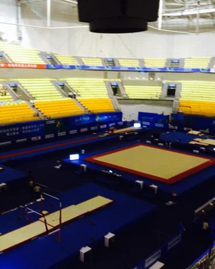 UCLA Bruins Women's Gymnastics vs. Washington Huskies sports event