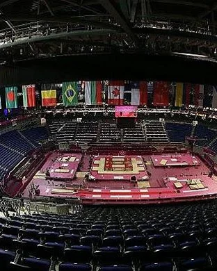 Washington Huskies Women's Gymnastics