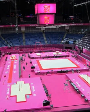 Washington Huskies Women's Gymnastics vs. Illinois Fighting Illini