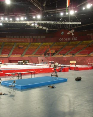 UCLA Bruins Women's Gymnastics