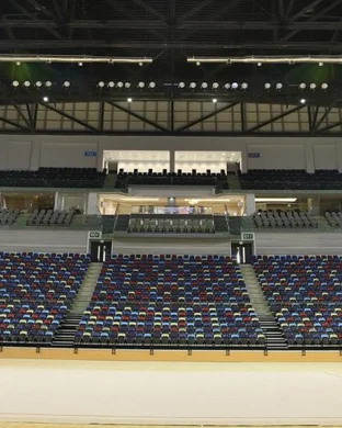 Sacramento State Hornets Women's Gymnastics