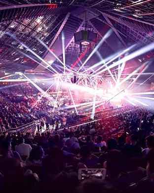 UFC Fight Night sports event