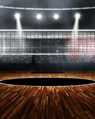 Northwestern Wildcats Women's Volleyball