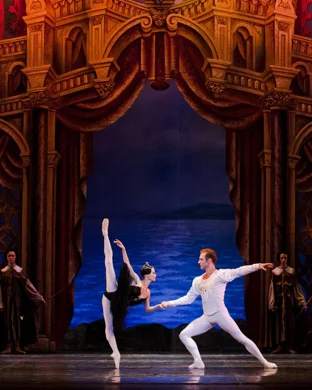 Swan Lake - Symphony of Lights Bellevue