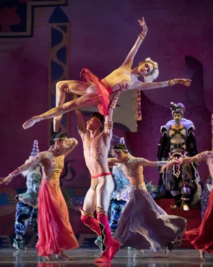 International Ballet Stars: The Sleeping Beauty