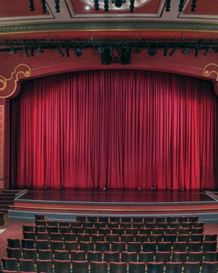 Here There Are Blueberries Seattle